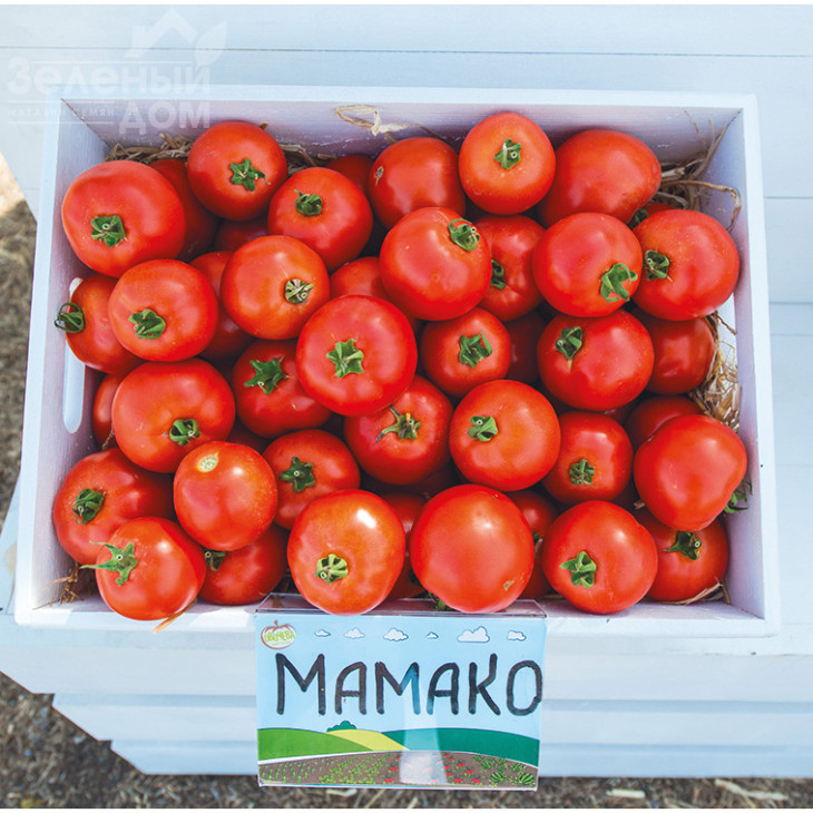 Мамако F1 / Mamako F1,50-52 дні фото 2