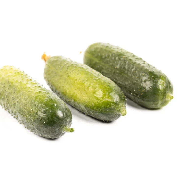 Диез F1 / Diyez F1 фото 2