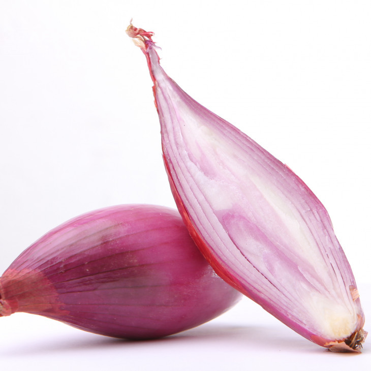 Рожевий Пінгвін F1 / Pink Penguin F1, 80-100 днів фото 1