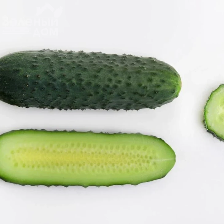 Джуниор F1 (LS 1906) / Junior F1 (LS 1906) фото 7