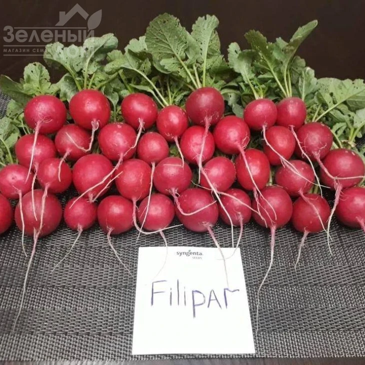 Филипар F1 / Filipar F1 фото 1