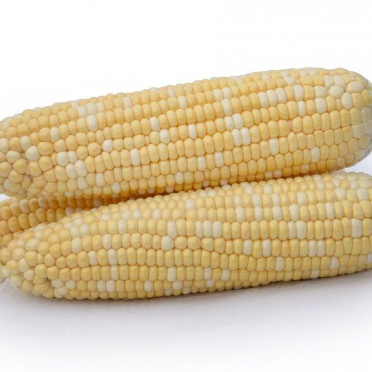 Майбіко F1 / Maybiko F1 фото 1