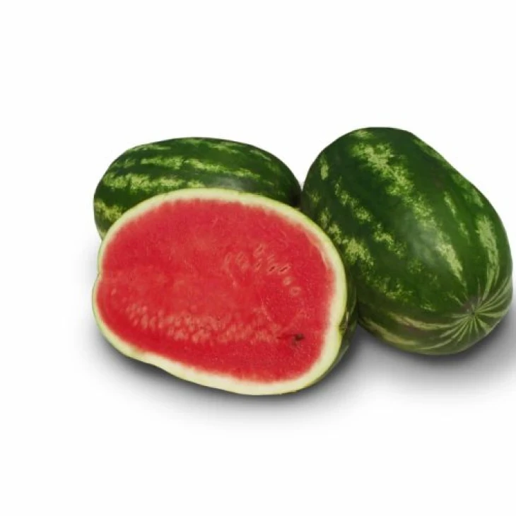 Юта F1 / Yuta F1, 68-70 дней фото 1