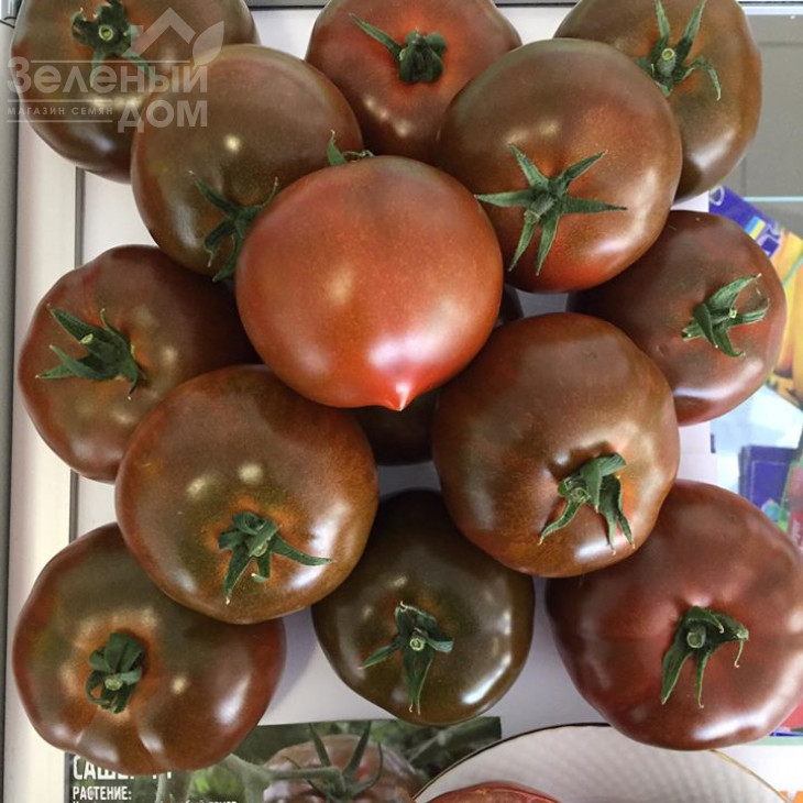 Сашер F1 / Sasher F1 фото 2