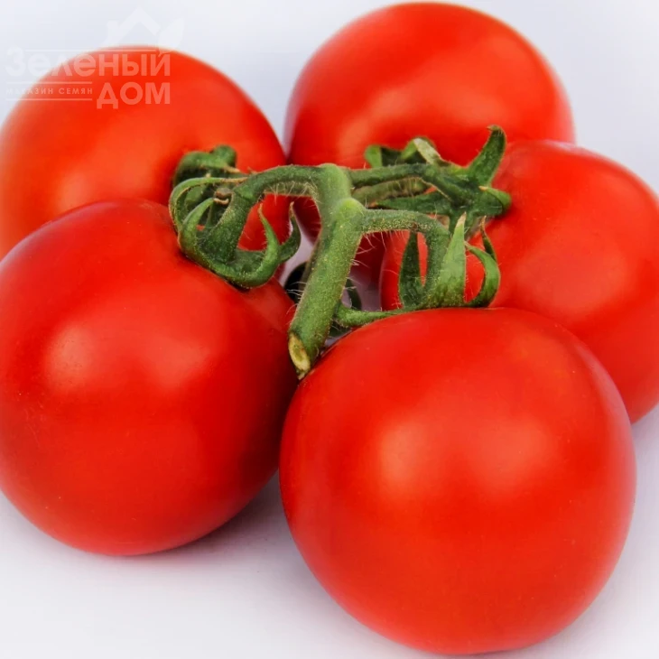 ЛС 1137 F1 / LS 1137 F1,110 дней фото 1