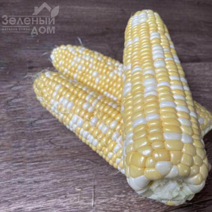 Дефендер F1 / Defender F1,74 дні фото 4