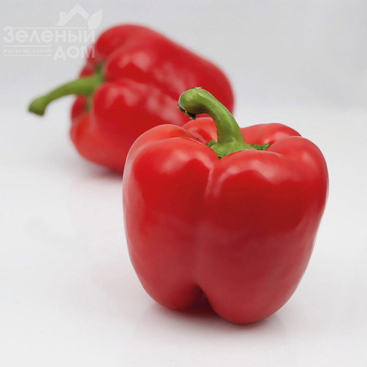 Екла F1 / Ekla F1,60-62 дні фото 1