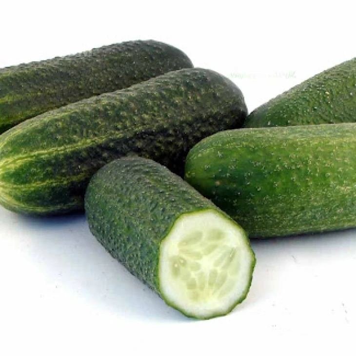 Отело F1 / Otelo F1,41-43 дня фото 1