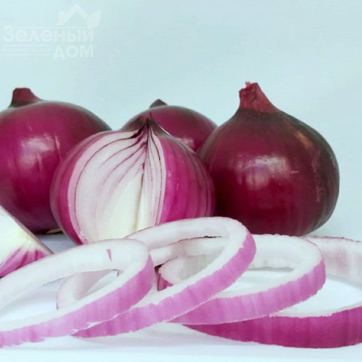 Фабула F1 / Fabula F1 фото 1