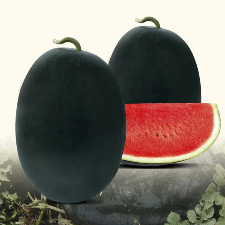 Реве F1 / Reve F1 фото 1