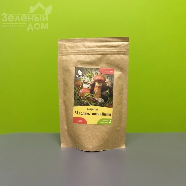 Масленок обыкновенный фото 1