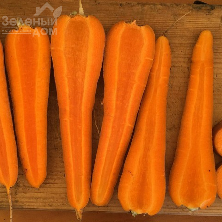 СВ 7381 F1 / SV 7381 F1,110-115 днів фото 1