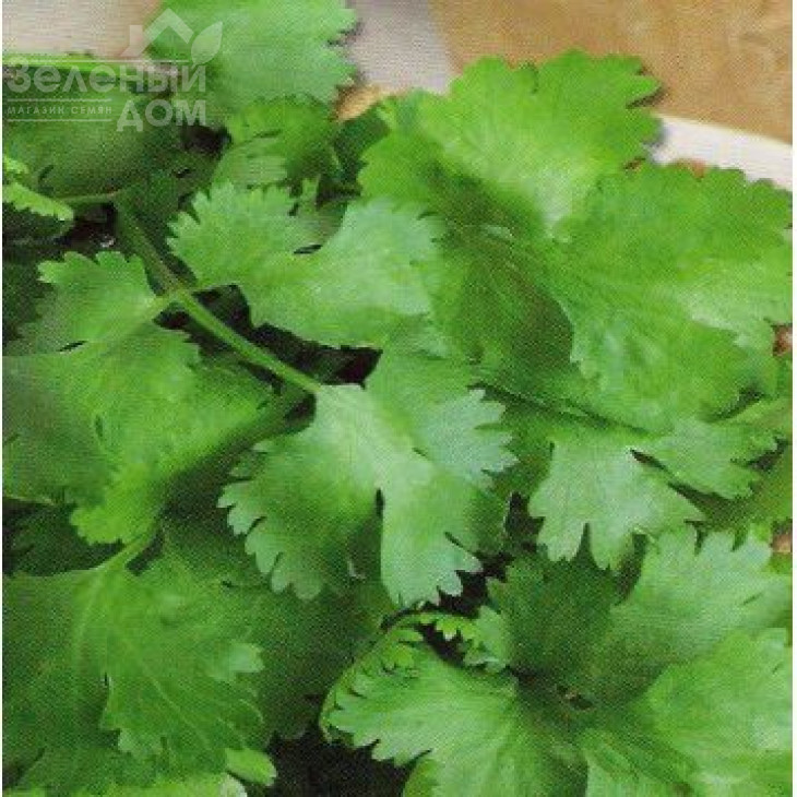 Амерікано / Americano фото 1