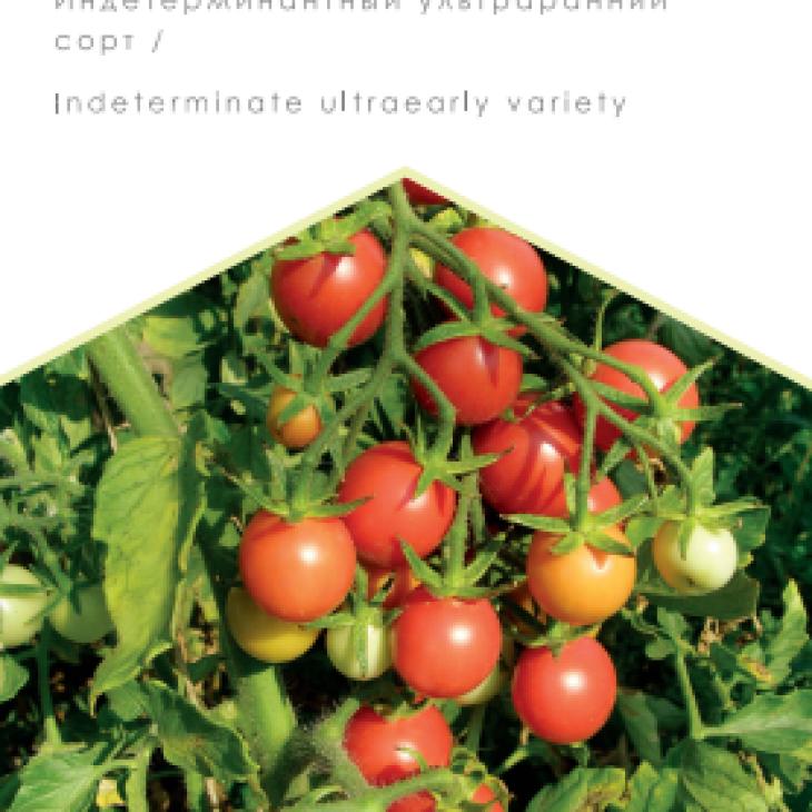 Колібрі / Kolibry, 80-85 днів фото 1