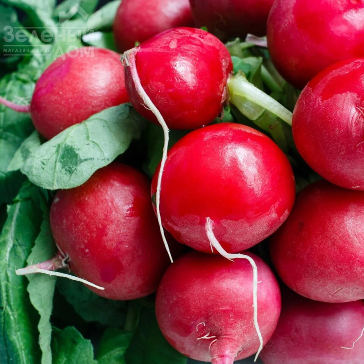 Філіпар F1 / Filipar F1 фото 1