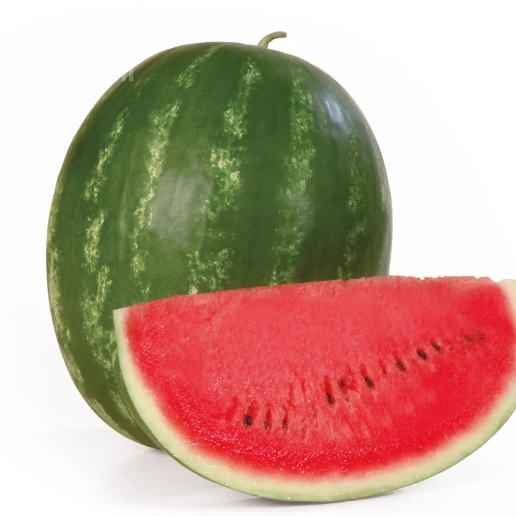 Каристан F1 / Karistan F1,64-67 дней фото 1