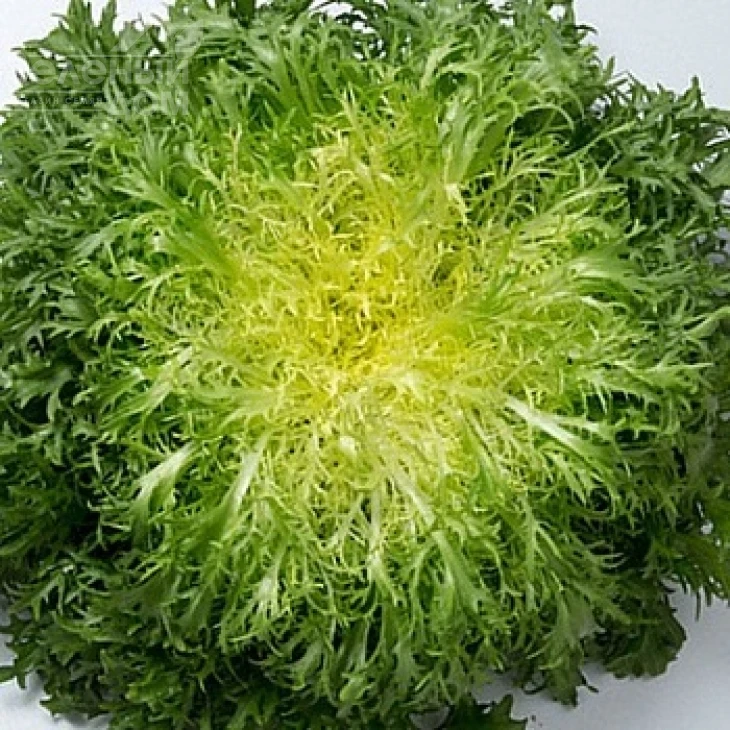 Валоне / Valone фото 1