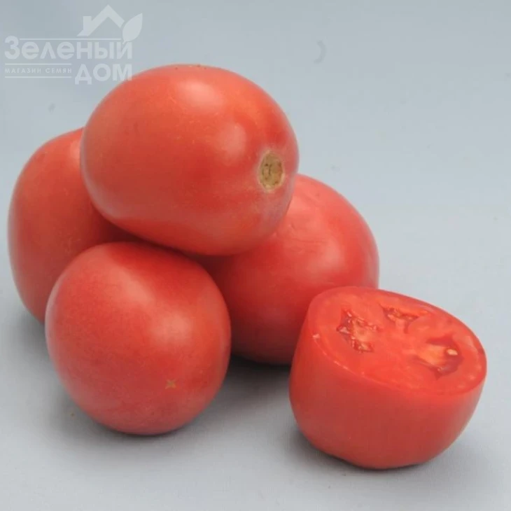 Камелот (LS 1264)  F1 / Kamelot (LS 1264)  F1,100 - 110 дней фото 2