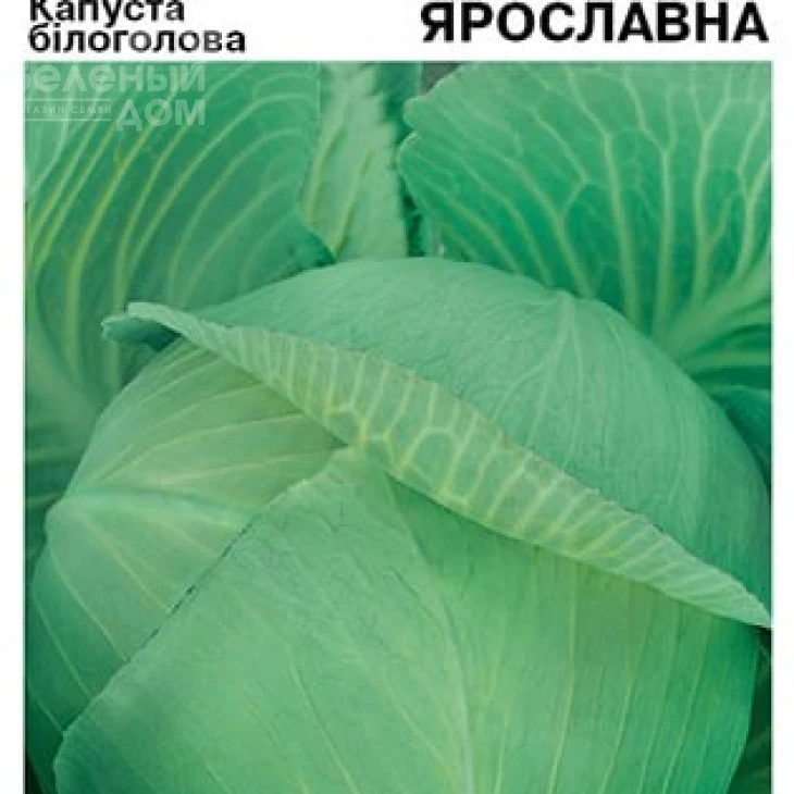 Ярославна / Yaroslavna фото 2