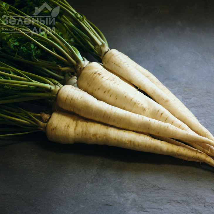 Арат / Arat,150 днів  фото 1