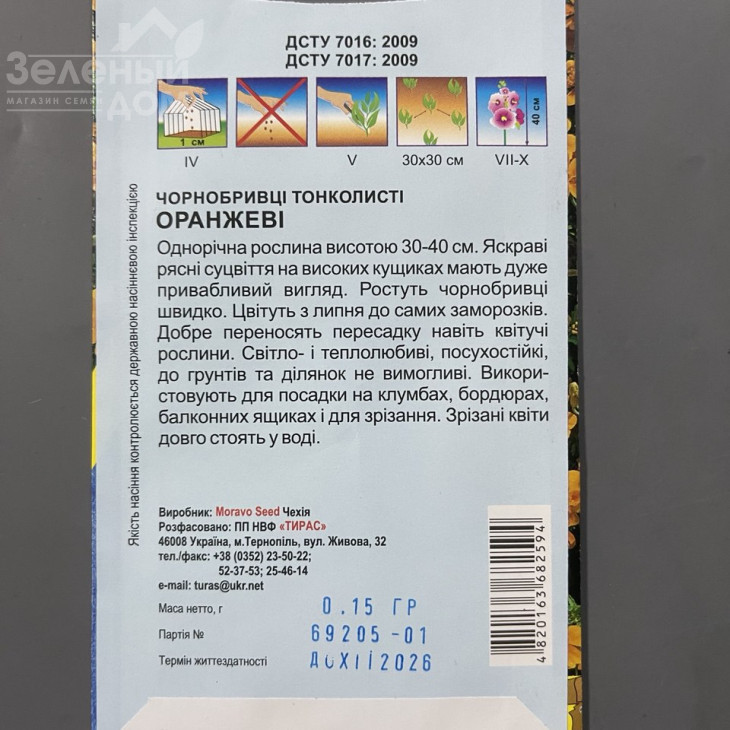 Чорнобривці тонколисті Оранжеві фото 2