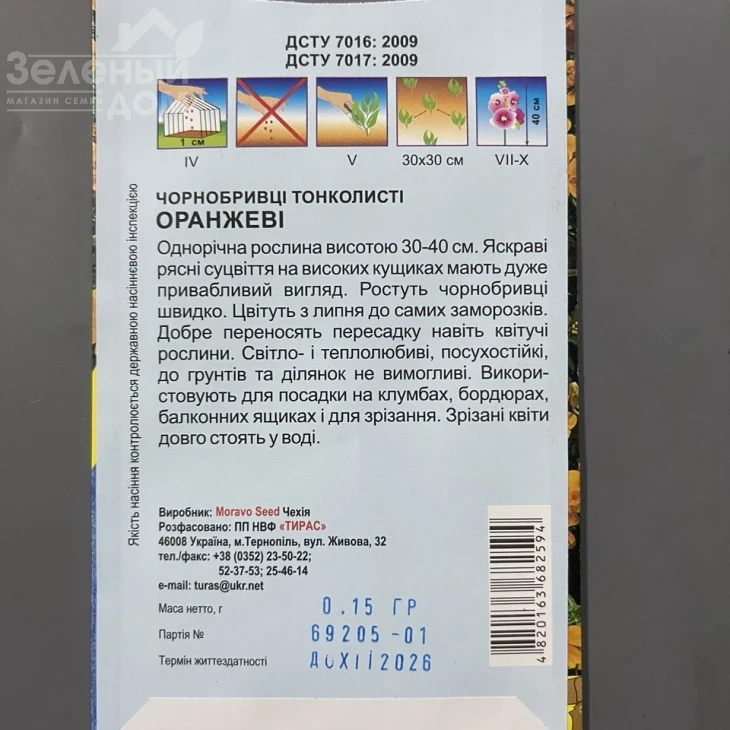 Чорнобривці тонколисті Оранжеві фото 2