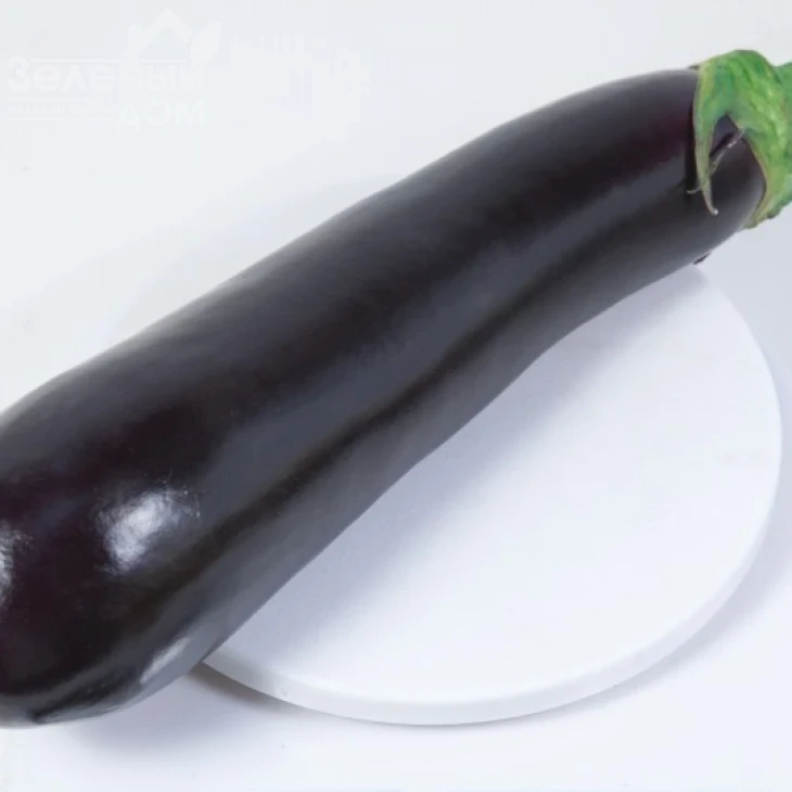 КС 4804 F1 / KS 4804 F1,90-100 дней фото 1