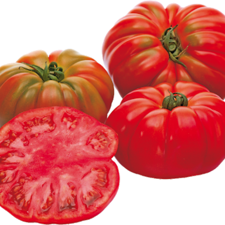 Ред Кой F1 / Red Coy F1,100-110 днів фото 1