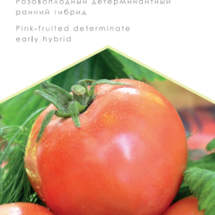 Иваныч F1 / Ivanych F1 фото 1