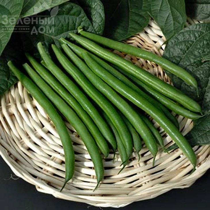 Крокет / Kroket фото 5