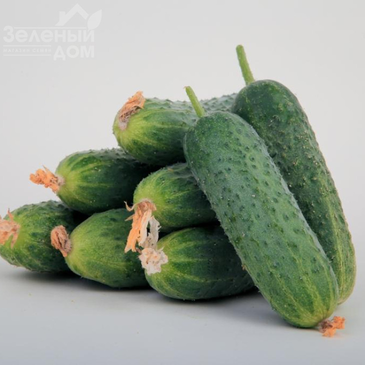 ЛС 1912 F1 / LS 1912 F1 фото 1