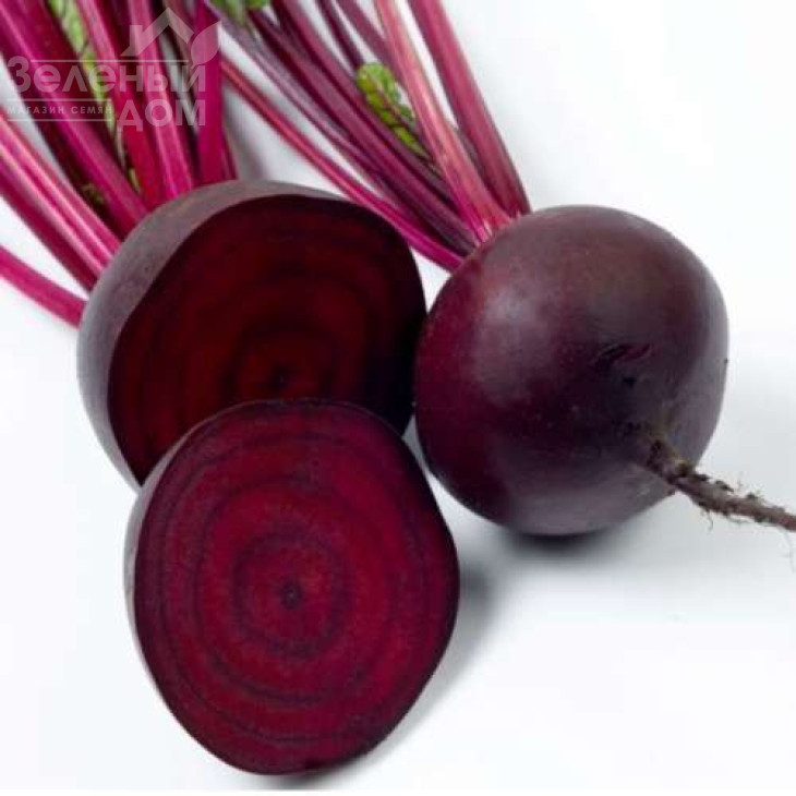 Детройт / Detroit,90-100 днів фото 4