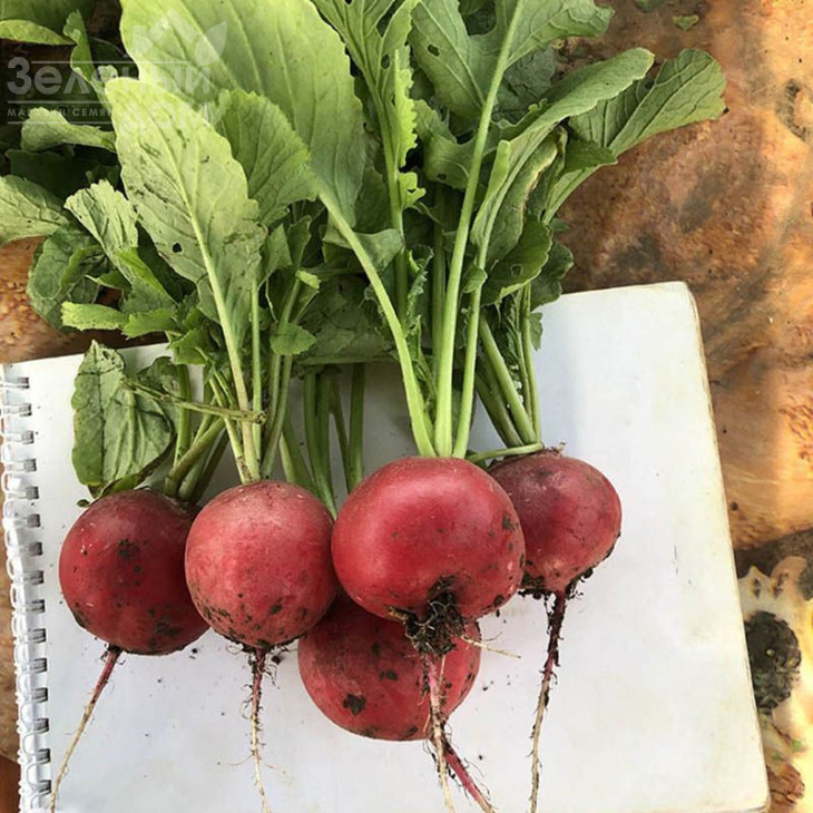 Марвел F1 / Marvel F1 фото 2