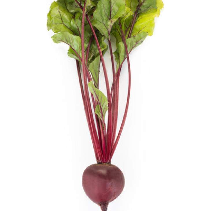 Родіті F1 / Roditi F1, 105-110 днів фото 3