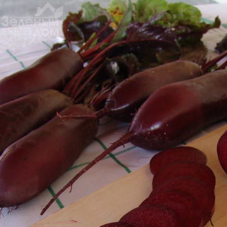 Алексіс (Цитадела) / Alexis (Citadela), 120-130 днів фото 1