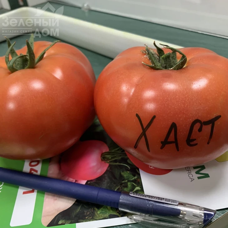 Хает F1 / Haet F1 фото 1