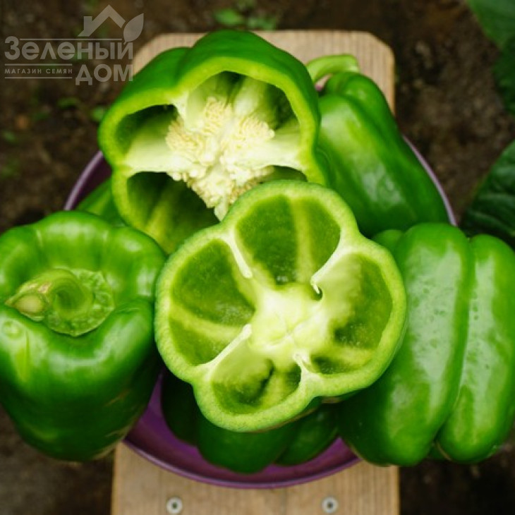 Геркулес F1 / Hercules F1,75 днів фото 2