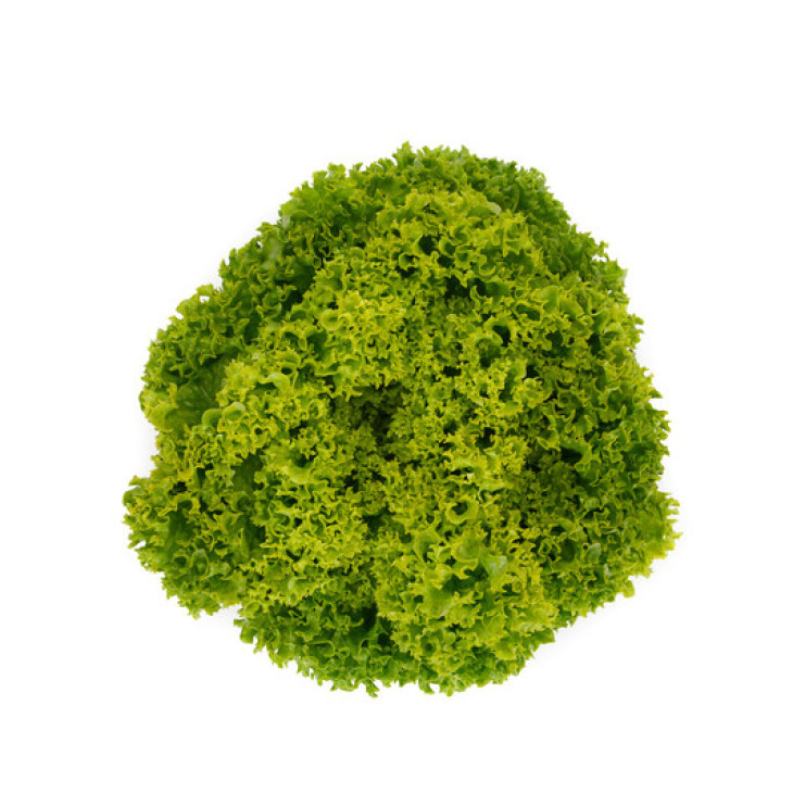 Лісбоа / Lisboa фото 1