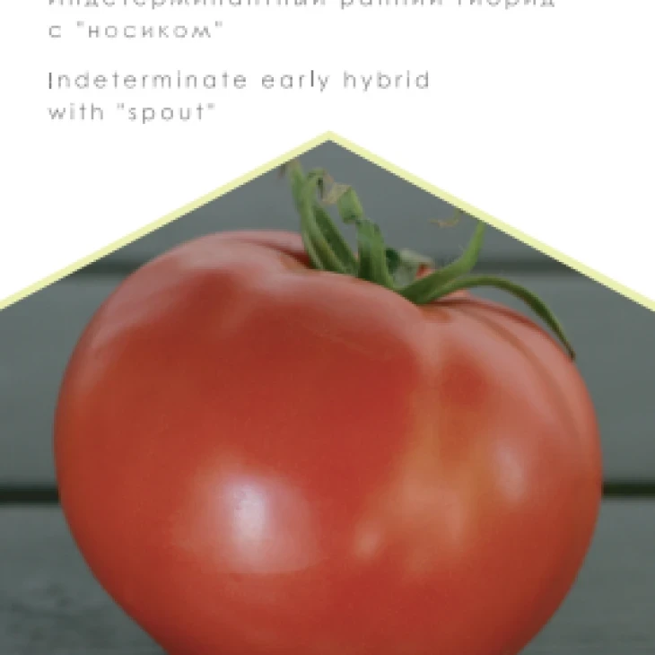 Мальва F1 / Malva F1, 90-92 дня фото 1