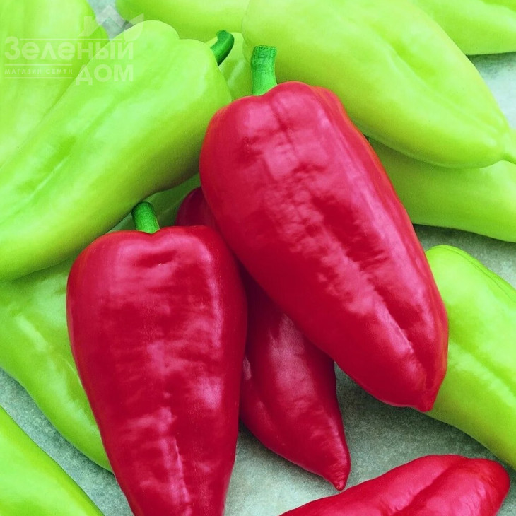 Словакія / Slovakia,50-60 днів фото 1