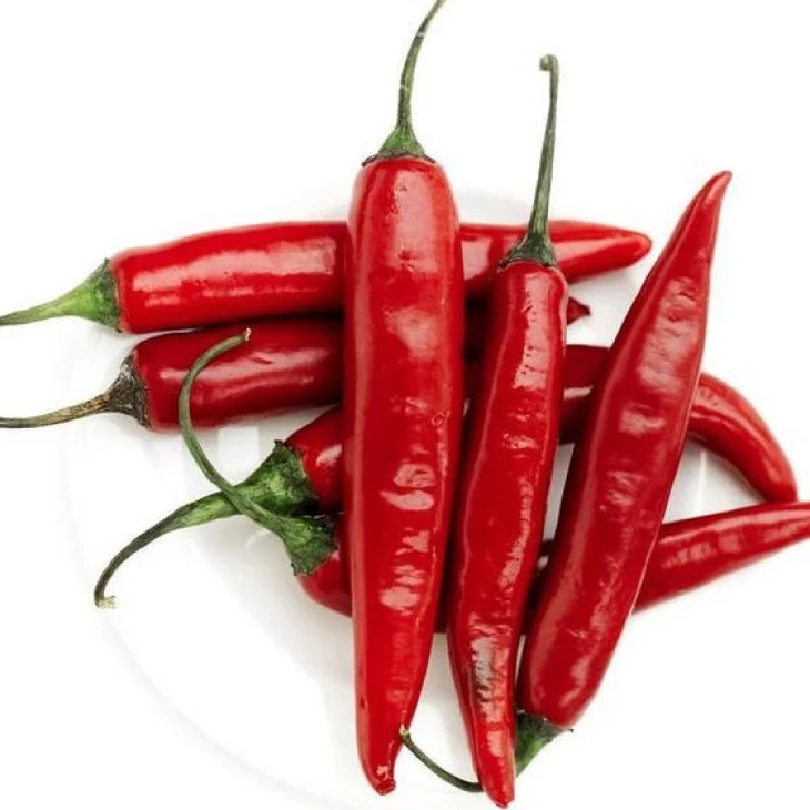 Ангарика F1 / Angarika F1,50-55 дней фото 1