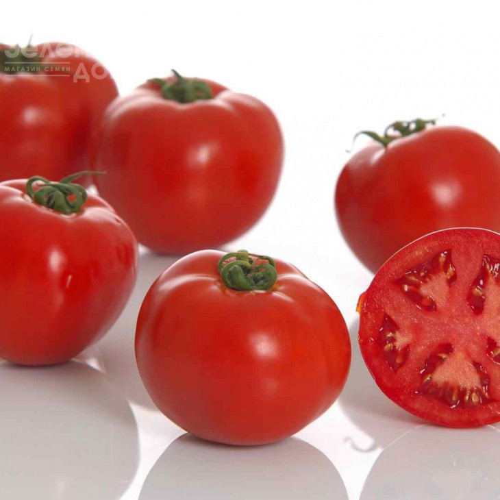 Лінда F1 / Linda F1,65-70 днів фото 1