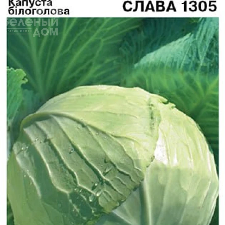 Слава / Slava фото 2