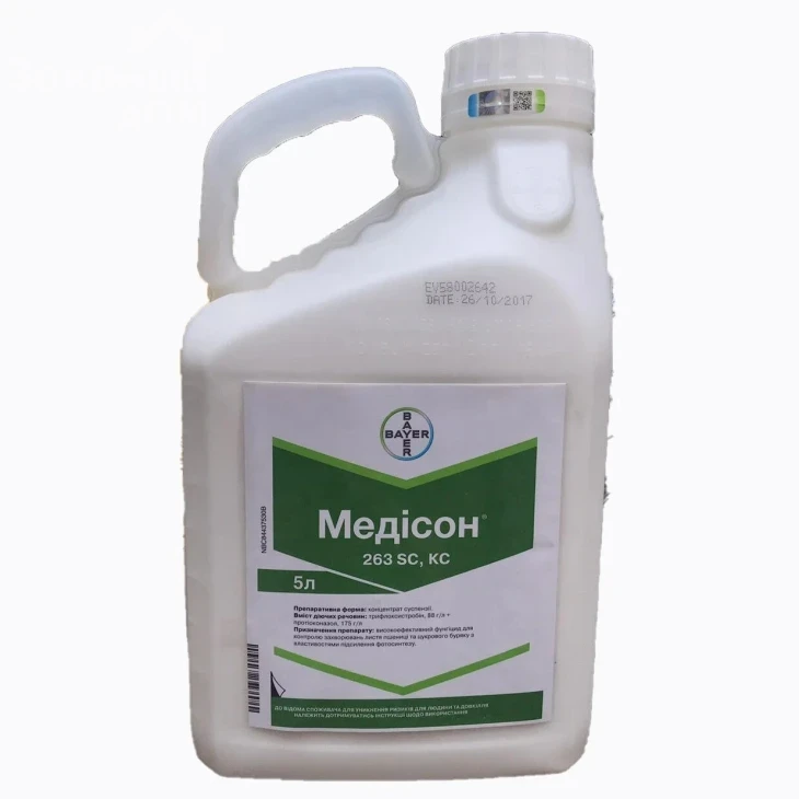 Медисон / Medison фото 1