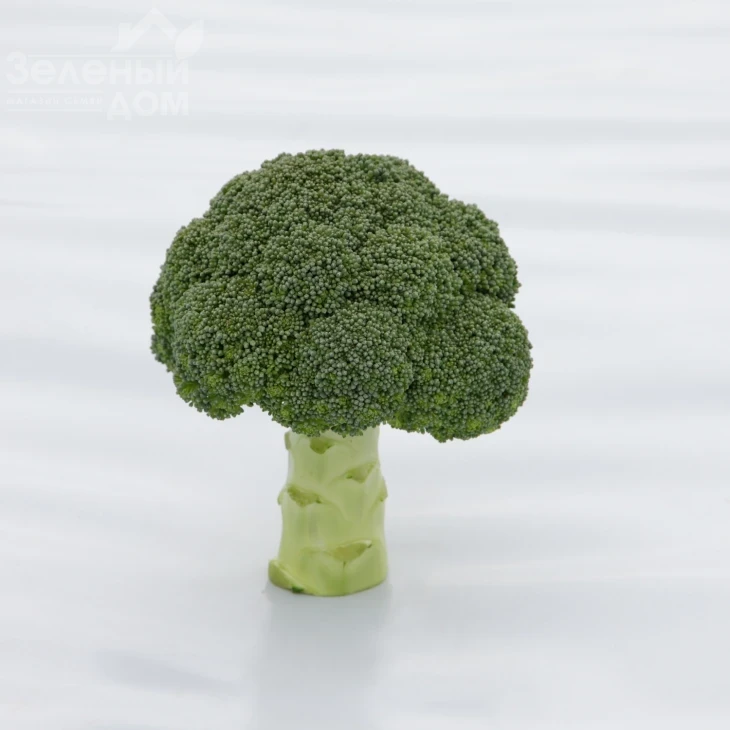 Монрелло F1 / Monrello F1, 80-85 дней фото 1