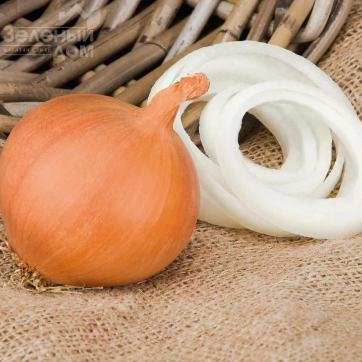 Манас F1 / Manas F1,110-115 дней фото 1