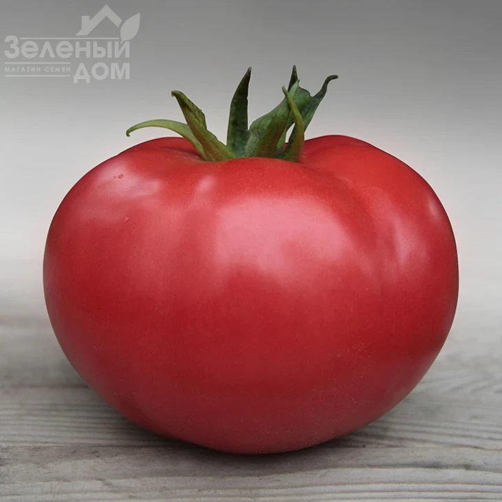 Кибо F1 / Kibo F1,105-115 дней фото 1