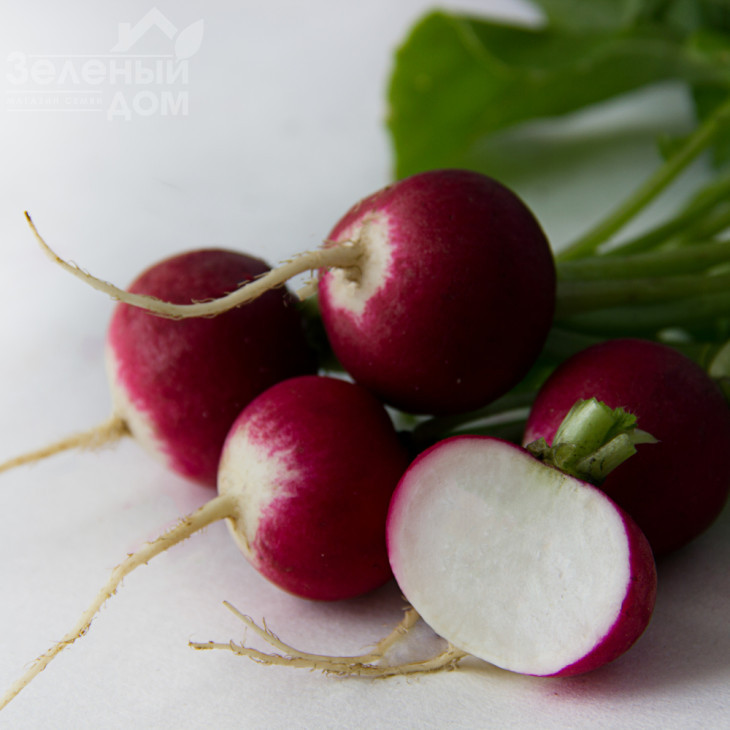 Ніколь F1 / Nicol F1 (Стандарт),23-25 днів фото 2