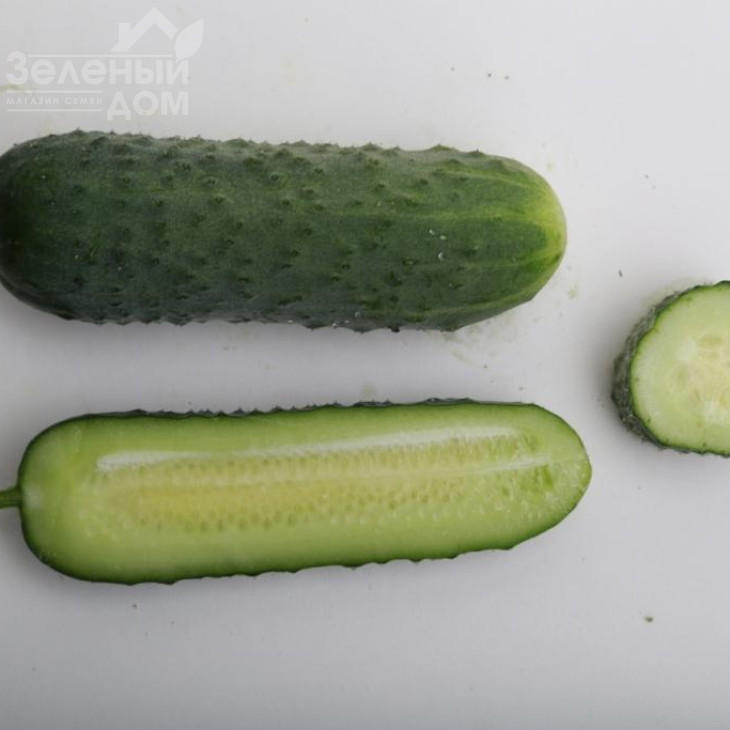 ЛС 1912 F1 / LS 1912 F1 фото 3