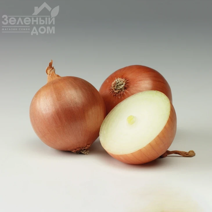 Висион F1 / Vision F1,105-110 дней фото 1